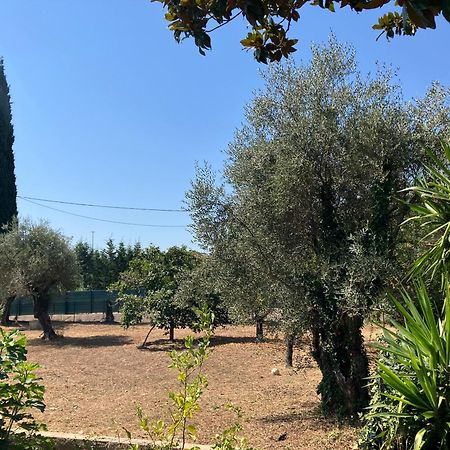 Villa Thyziri Roquefort-les-Pins Zewnętrze zdjęcie