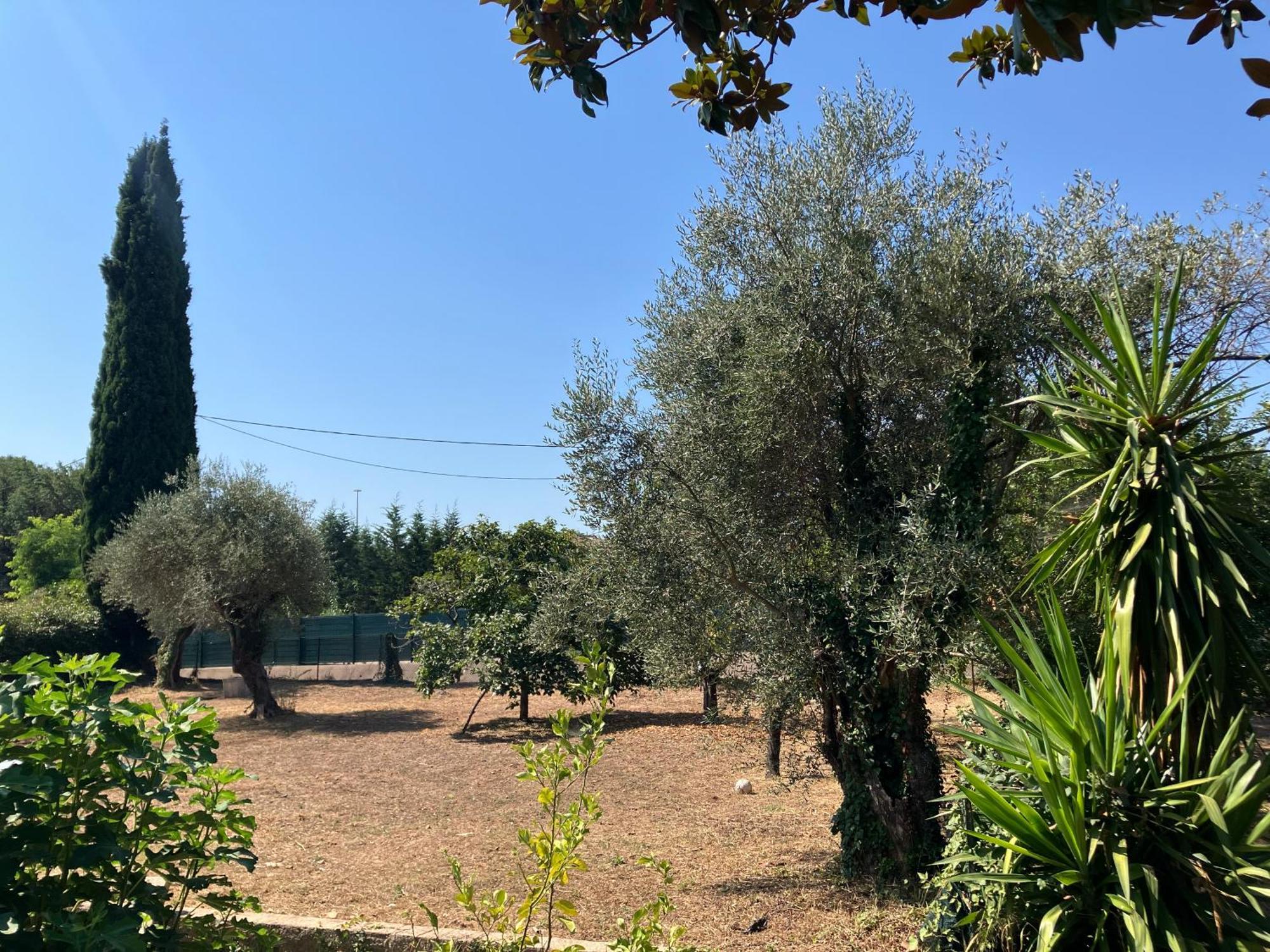 Villa Thyziri Roquefort-les-Pins Zewnętrze zdjęcie